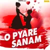 About O Pyare Sanam Song